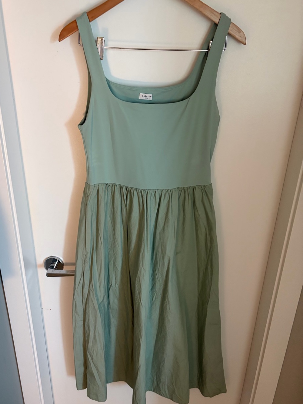 Babaton Aritzia dress